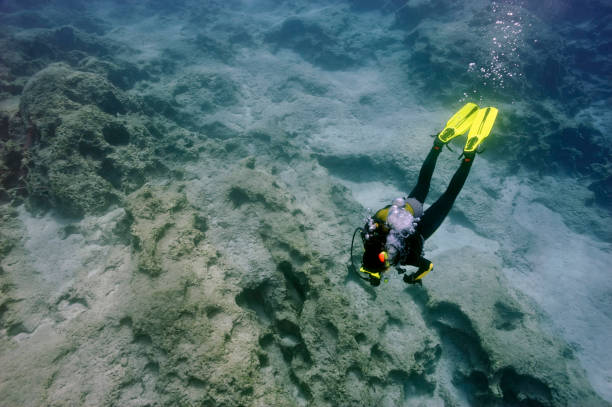 istock scuba diver in the sea, underwater 1132222538