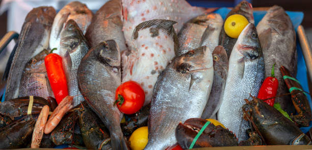 istock Different Fresh fish and seafood, lobster 1132222925