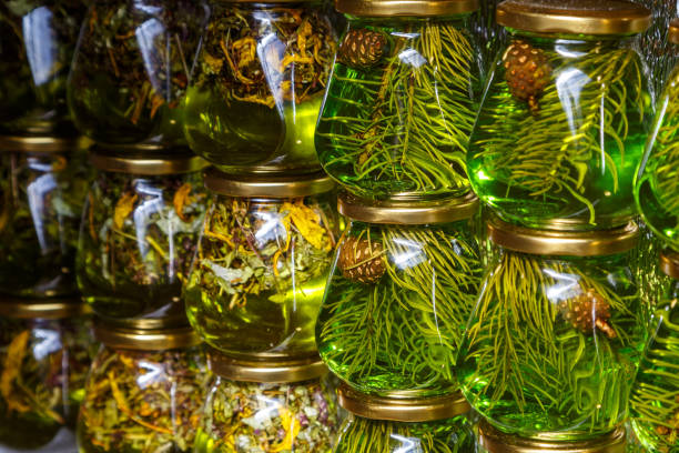 Conifer needles, cones, medicinal herbs in honey in jars as a souvenir, cold medicine stock photo