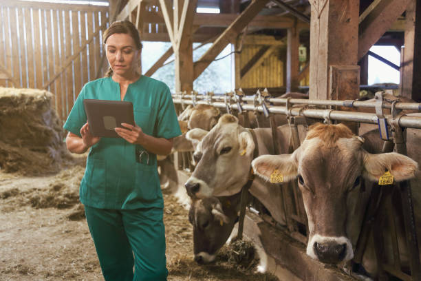 istock Female veterinarian with note pad in barn 1132224294