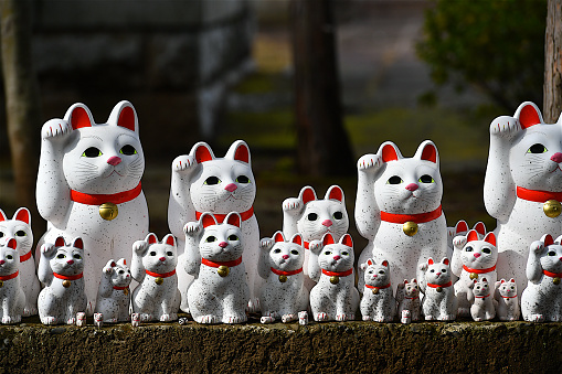 Setagawa,Japan-02 07 2019:Gotokuji, a temple considered at the origin of the well known Maneki-Neko: the cat that welcomes visitors with its right paw up in the air.
Small in size but incredible by the number of statues it holds,the temple counts cats of all sizes, forming a whole shrine which is likely to entertain many people.