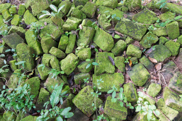 istock CAMBODIA KAMPONG THOM SAMBOR PREI KUK TEMPLE 1132226264