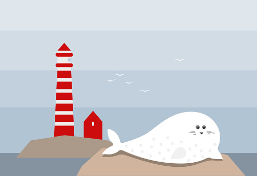 Island with the lighthouse and seal