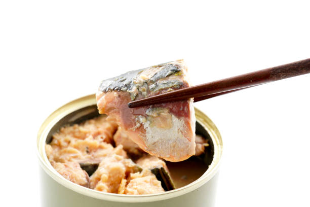 Canned mackerel. Canned food.