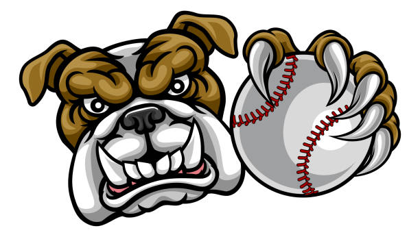 бульдог собака холдинг бейсбол мяч спортивный талисман - characters sport animal baseballs stock illustrations