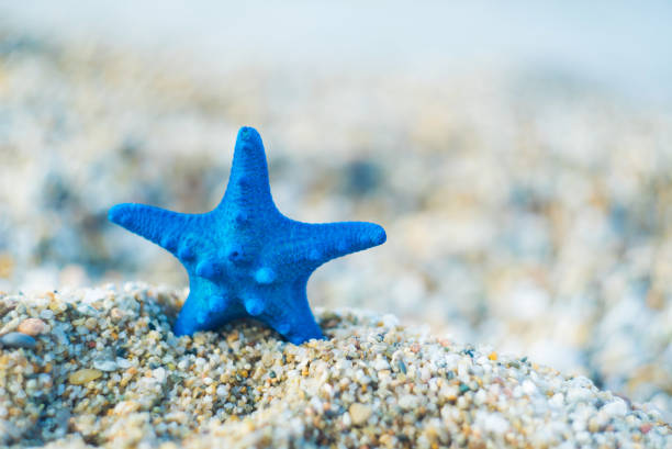 istock Blue Starfish in Beach Sand 1132239506