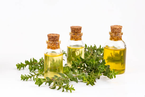 istock A bottle of thyme essential oil with fresh thyme 1132242111
