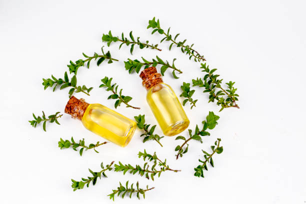 istock A bottle of thyme essential oil with fresh thyme 1132242148
