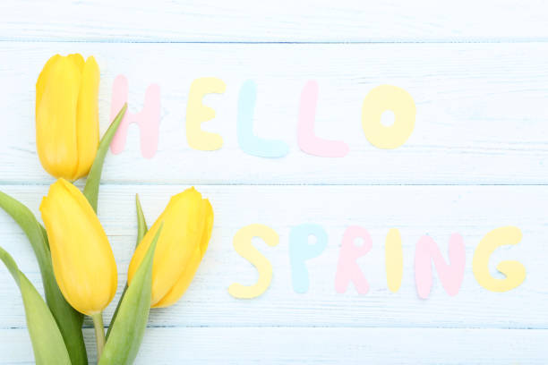 istock Bouquet of yellow tulips with text Hello Spring on wooden table 1132244807