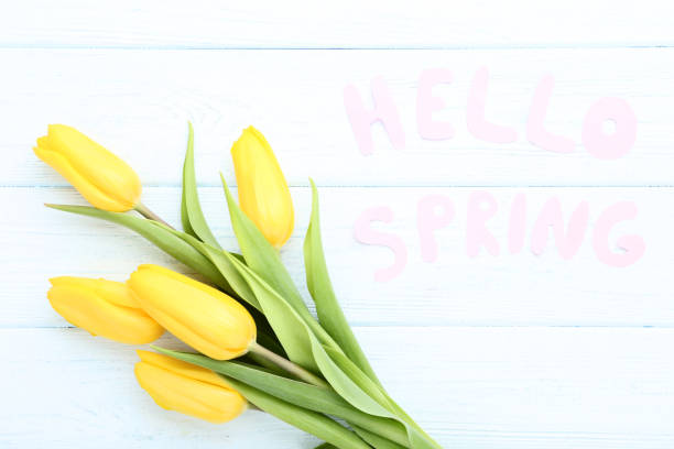 istock Bouquet of yellow tulips with text Hello Spring on wooden table 1132245316