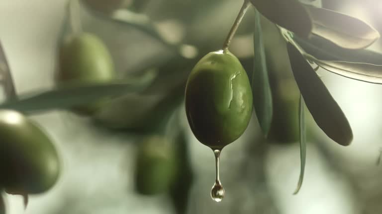 oil dripping from an olive