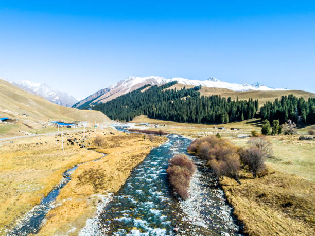 istock High Altitude River in Gongnaisi Forest Park, Xinjiang, China 1132247018