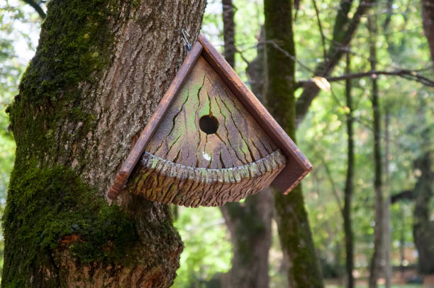 istock Feeders for birds in the winter 1132250497
