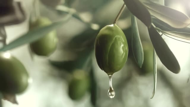 oil dripping from an olive