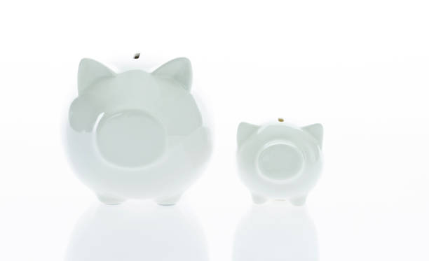 istock Piggy banks on white background 1132251208