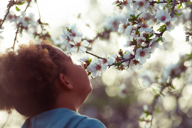 istock Girl enjoying almond tree blooming aroma. 1132252180