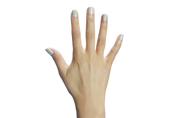 istock Female Hand Showing Number Five Isolated on White 1132252486