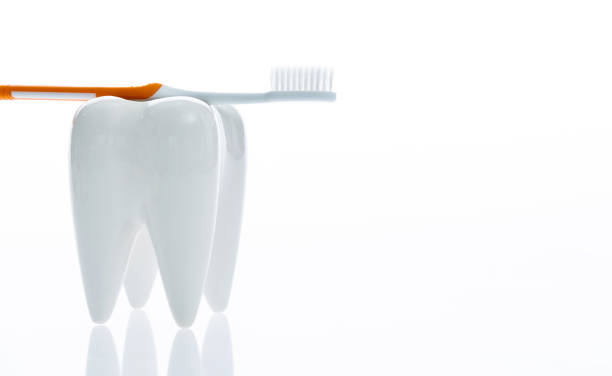 istock Toothbrush and tooth model on white background 1132253156