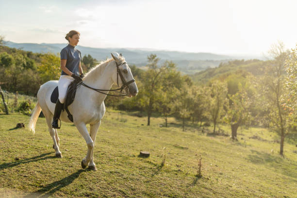 середина взрослый женский владелец верхом на лошади - trail ride стоковые фото и изображения