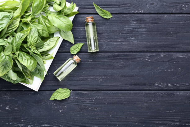 istock Bottles of essential oil with basil leafs on grey wooden table 1132258457