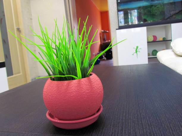 istock Artificial grass in a pot of beige color, round shape, has a natural appearance 1132258580