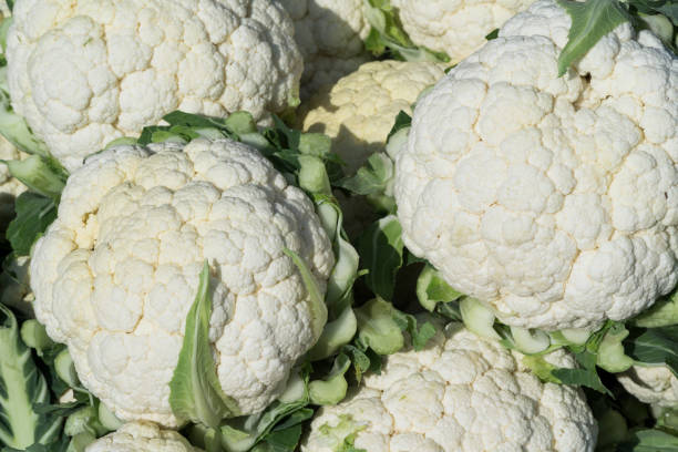 istock As shot fresh cauliflower photo 1132260014