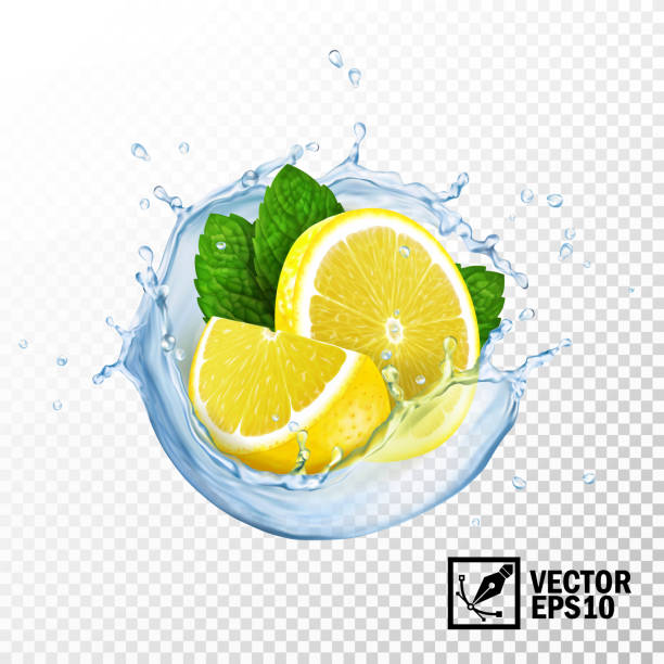 ilustraciones, imágenes clip art, dibujos animados e iconos de stock de 3d vector aislado realista rebanadas de limón y hojas de menta fresca en un chorrito de agua o té con gotas - juicy