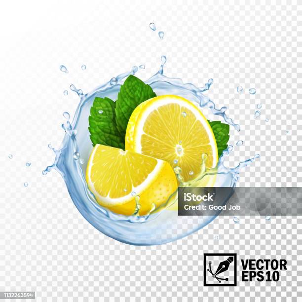 3d Realistic Isolated Vector Slices Lemon And Fresh Mint Leaves In A Splash Of Water Or Tea With Drops Stock Illustration - Download Image Now