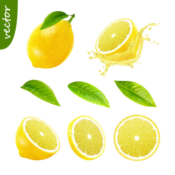 illustrazioni stock, clip art, cartoni animati e icone di tendenza di set vettoriale realistico 3d di elementi (limone intero con foglia, limone a fette, succo di limone splash, foglie) rete modificabile fatta a mano - limone