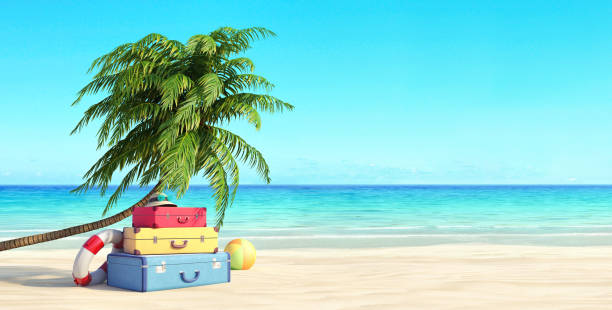 istock Ready for summer vacation, travel background, Beach with palm tree and suitcases, 3D Render 1132269873