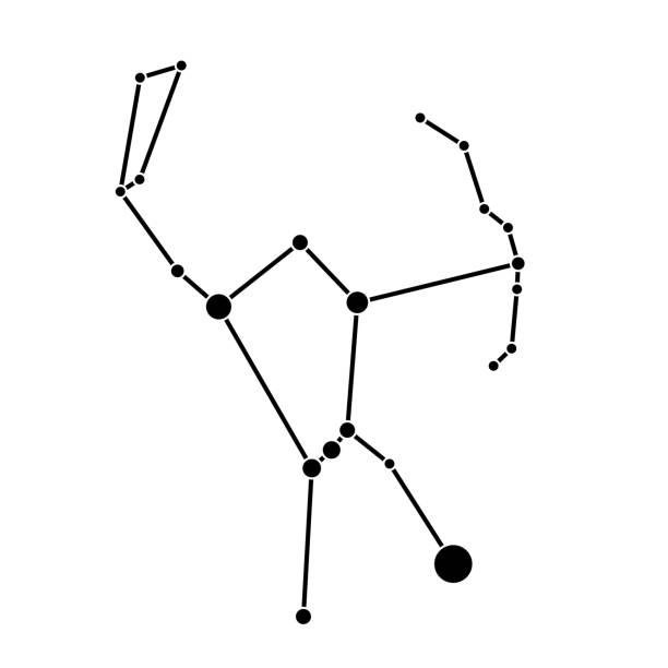 Orion constellation on white background Orion constellation of black dots and lines. Simple flat vector illustration on white background. orion stars stock illustrations