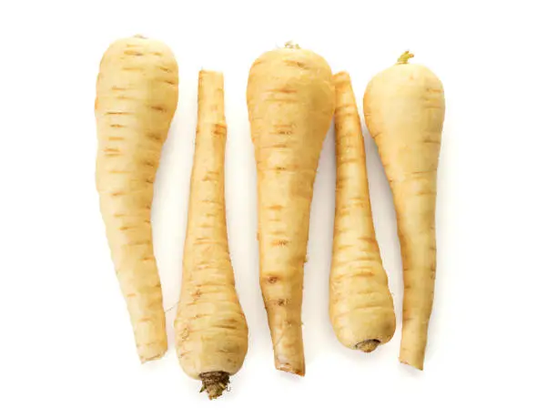 Row of five parsnip roots, top view, isolated on white background