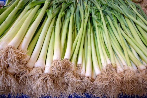 istock Green fresh organik leek vegetables texture market 1132271554