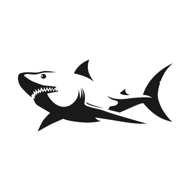 93 Cartoon Of A Black Shark Tattoo Illustrations & Clip Art - iStock