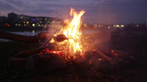 istock Camp fire burning on a riverside. City in background 1132275362