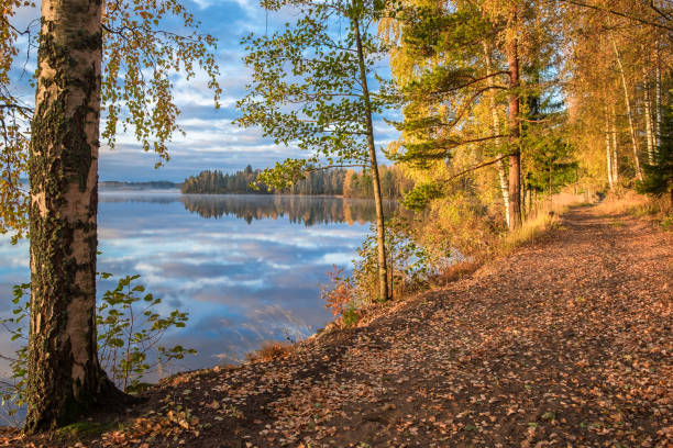 vue panoramique du paysage d'automne, arbres de couleurs d'automne, eau bleue, arbre reflété dans le lac, changement de saisons, matin ensoleillé, parc automnal, nature d'automne. - forest road nature birch tree photos et images de collection