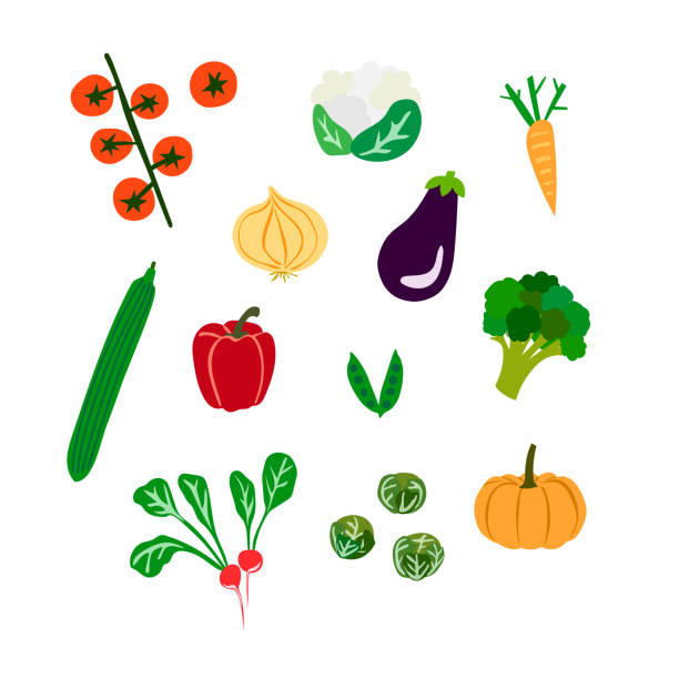 illustrazioni stock, clip art, cartoni animati e icone di tendenza di insieme di verdure illustrate - brussels sprout vegetable organic healthy eating