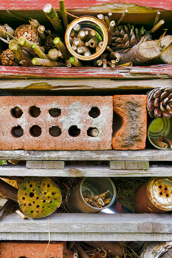 Insect populations are declining globally at a rapid rate.  This is mainly due to the increased use in pesticides and insecticides.  A new movement to reverse this trend, are ‘insect hotels’.  Structures built in Gardens or parks which provide a safe place for insects to nest and hibernate.  Here we such an insect hotel.  Made from bricks, cans, bamboo and wood.