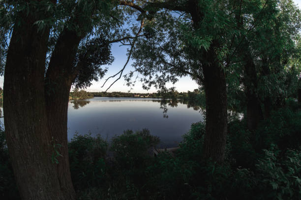 istock Evening summer landscape on the pond 1132286584