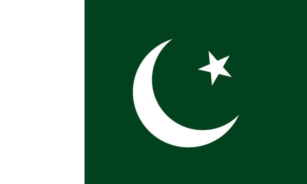 파키스탄 국기 - 파키스탄 일러스트 stock illustrations