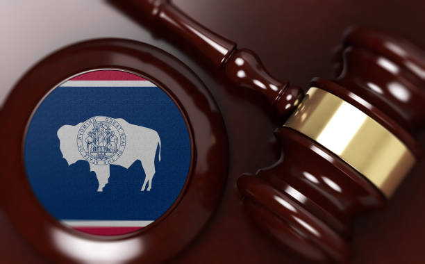 istock Gavel And Flag On Desk. Law Concept 1132288195