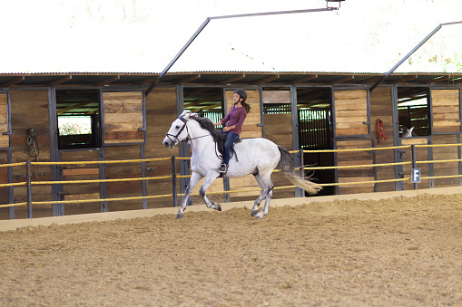 Cropped image of female rider, horsewoman sitting in saddle. Dressage of horses. Dressage of horses. Horseback riding. Concept of sport, grace, ad, active lifestyle