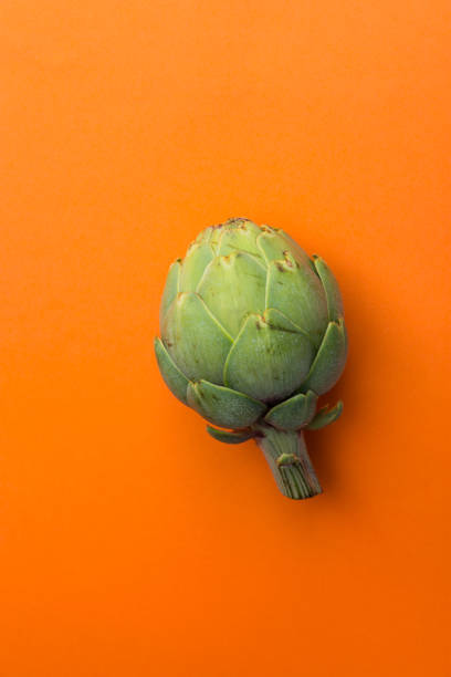 Ripe green artichoke on solid orange background. Creative food poster. Minimalist style. Mediterranean Spanish cuisine healthy plant based diet superfoods