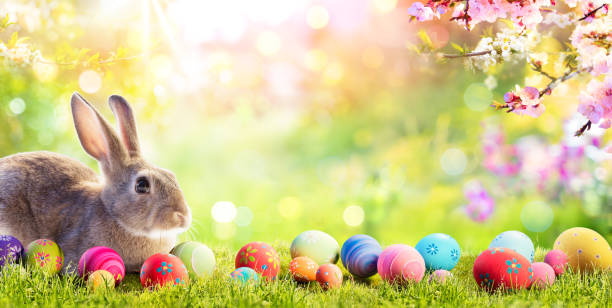 adorabile coniglietto con uova di pasqua in prato fiorito - pasqua foto e immagini stock