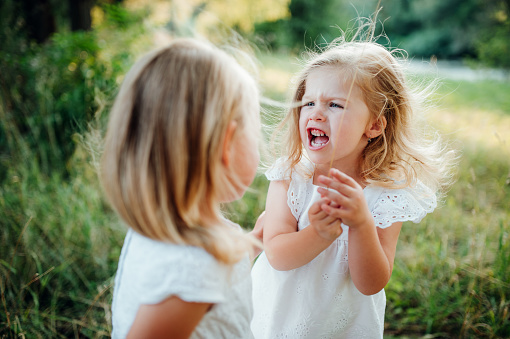 Two small angry girl friends or sister outdoors in sunny summer nature, screaming and arguing.
