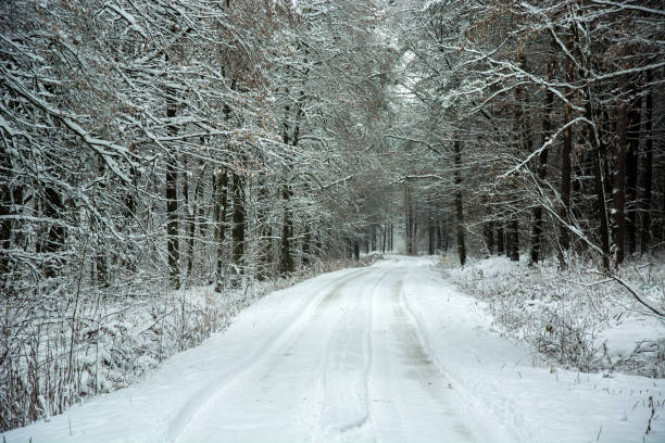 istock Snow-covered road through beauty mystical forest 1132300736