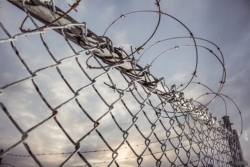 Barbed Fence