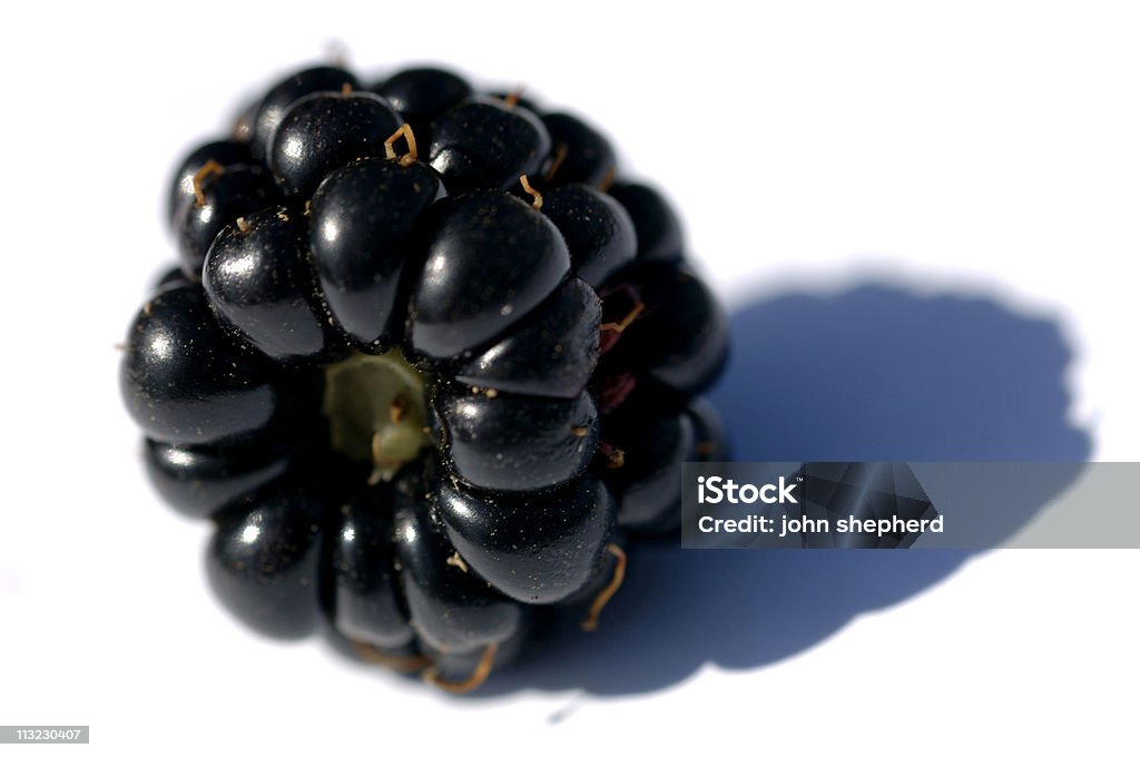 Blackberry em um fundo branco com sombra pure - Foto de stock de Alimentação Saudável royalty-free
