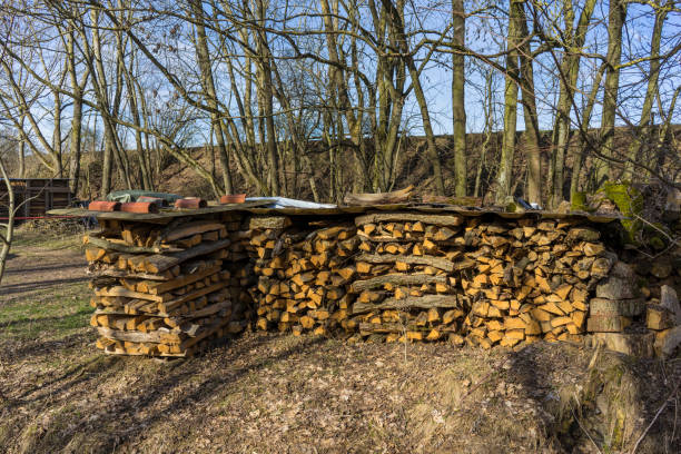 istock Sawn, split wood, trunks lie in the meadow. Theme: Alternative heating methods and environmental protection. 1132304896