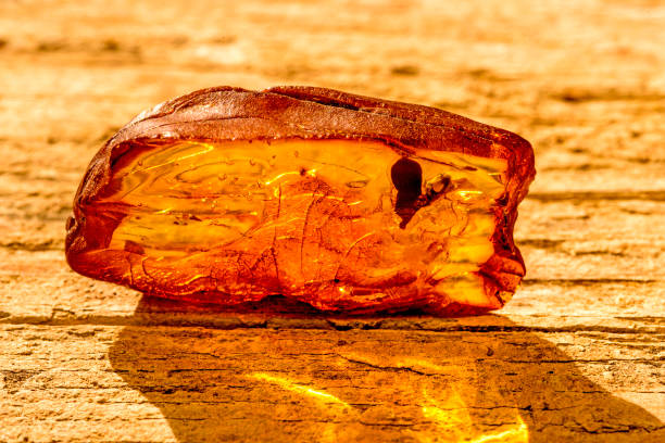 istock Amber in sun with inclusions 1132305505